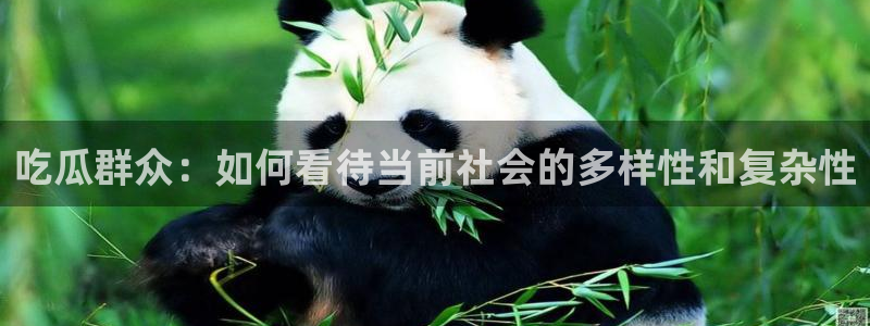 51cgfun每日吃瓜:吃瓜群众:如何看待当前社会的多样性和复杂性