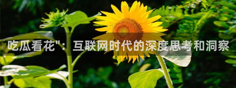 废太子在七零吃瓜看戏:吃瓜看花\
