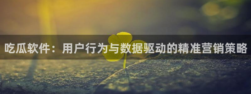 51吃瓜今日吃瓜入口:吃瓜软件:用户行为与数据驱动的精准营销策略